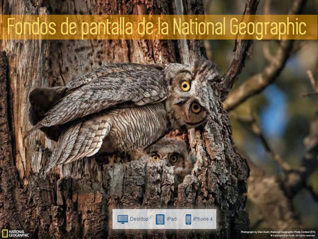 94 espectaculares fondos de pantalla de la National Geographic