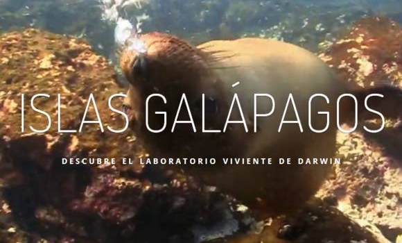 Viaje virtual a las Islas Galápagos