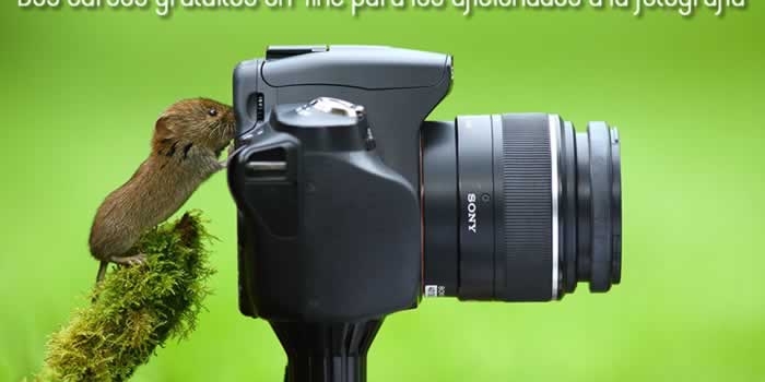 Dos cursos gratuitos on-line para los aficionados a la fotografía