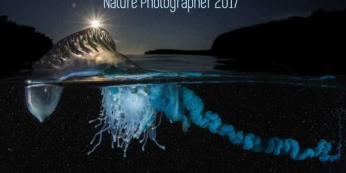 Personaliza tus dispositivos con las fotos del concurso Nature Photographer 2017 de NatGeo