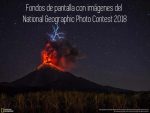 Impresionantes fondos de pantalla con imágenes del National Geographic Photo Contest 2018