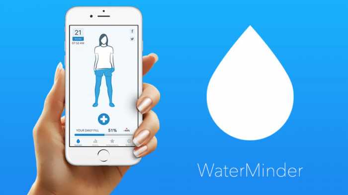 Waterminder te recuerda cuánta agua tienes que beber