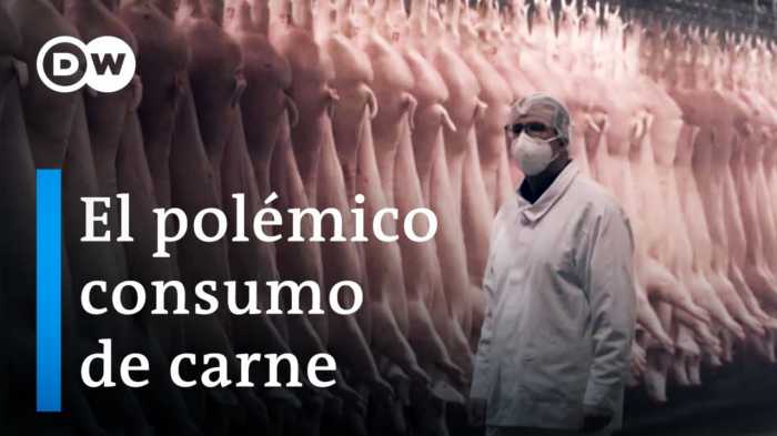 Ética y consumo de carne. Imperdible documental DW